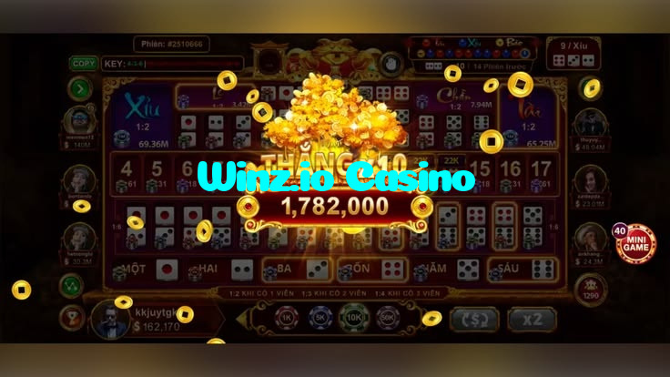 available types of Winz.io Casino bet including pre-match live express and system bets
